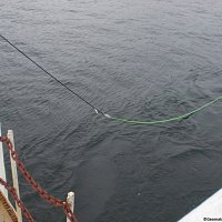 Deployment of MicroEel_setting the layback.