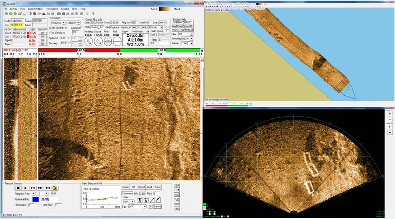 GeoDAS Forward look mosaic.