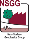 NSGG Logo